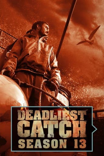 Staffel 13