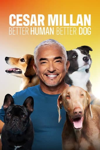 Staffel 4