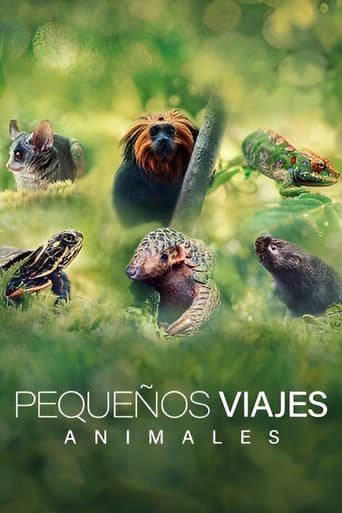 Pequeños viajes animales