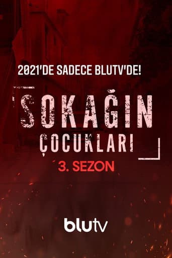 Staffel 3