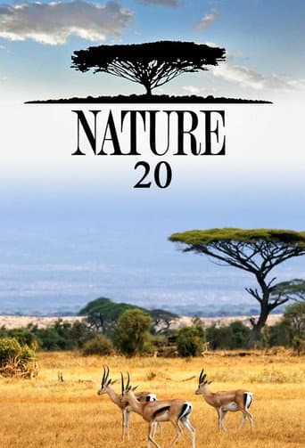 Temporada 20