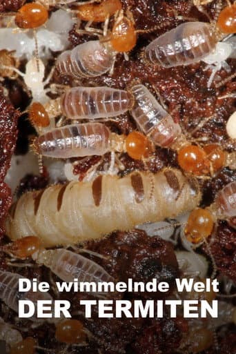 Die wimmelnde Welt der Termiten