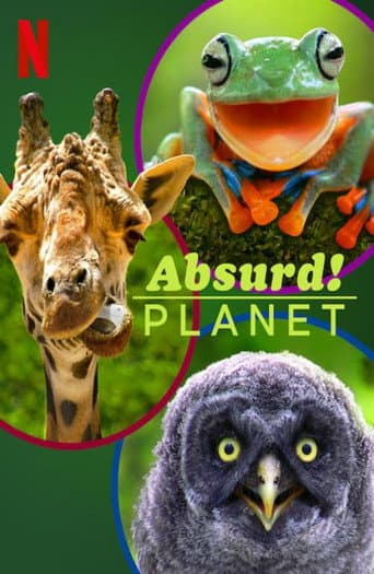 Staffel 1