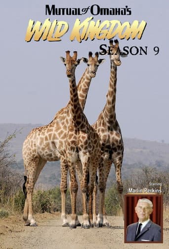 الموسم 9