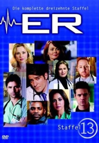Staffel 13