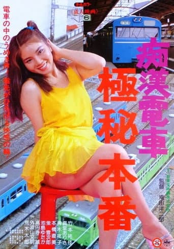 痴漢電車 極秘本番