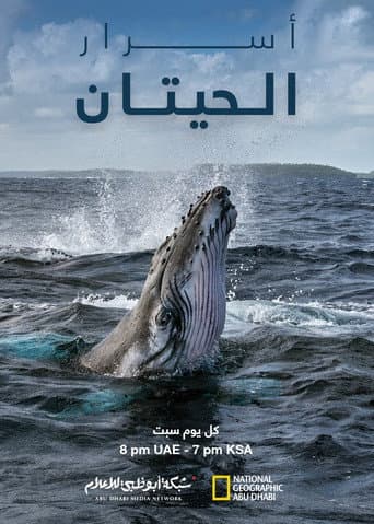 أسرار الحيتان