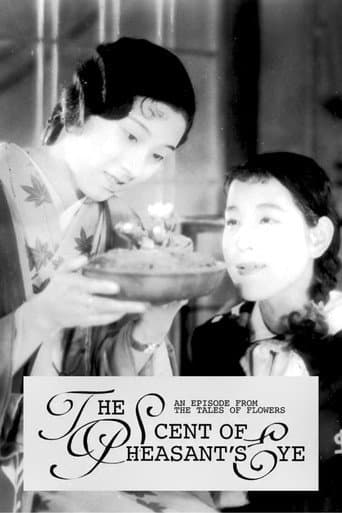 乙女シリーズその一　福寿草