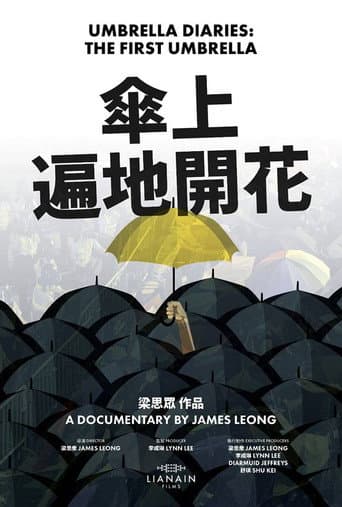 傘上:遍地開花
