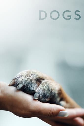 Hunde