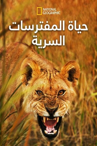 حياة المفترسات السرية