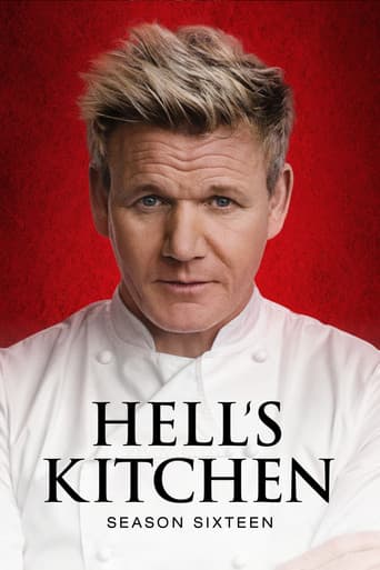 Staffel 16