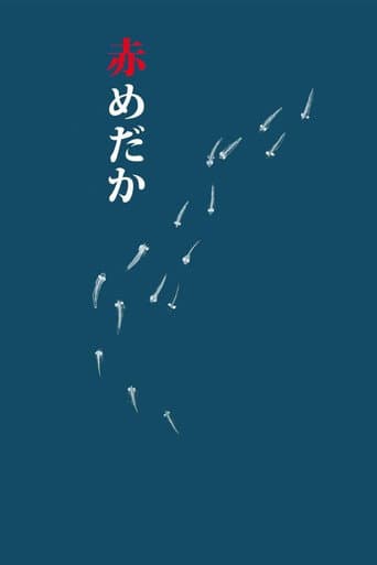 赤めだか