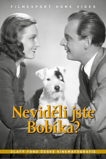Wo ist Bobi?