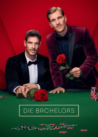 Staffel 15