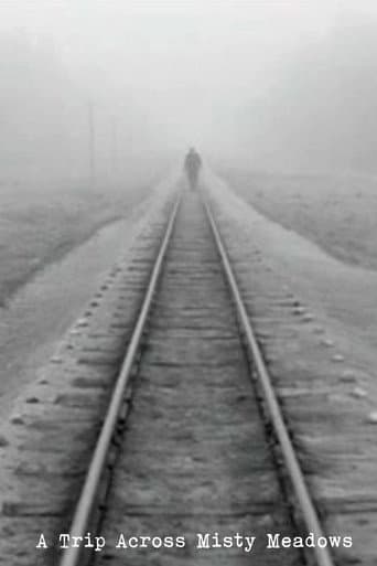 A Trip Across Misty Meadows