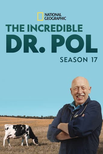 Staffel 17