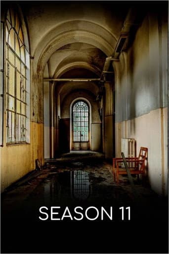 Staffel 11