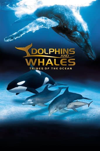 IMAX: Delfine und Wale
