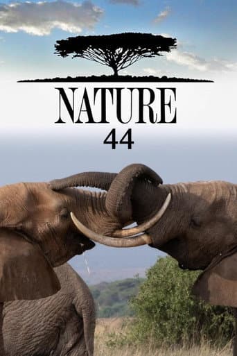 Temporada 44