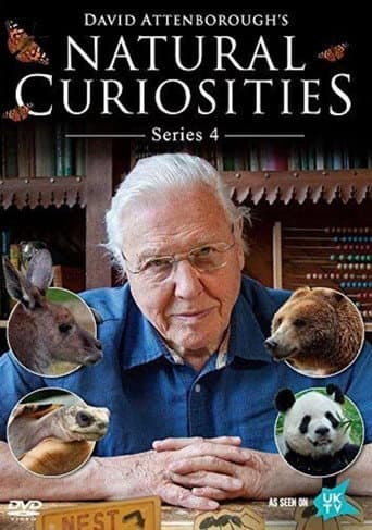 Staffel 4