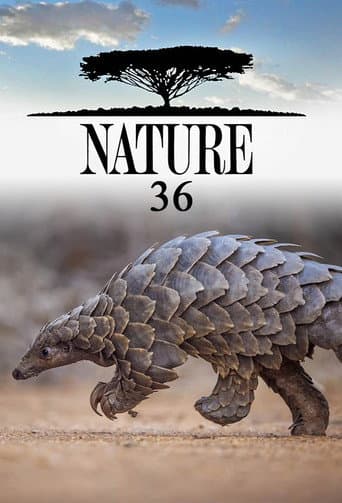 Temporada 36