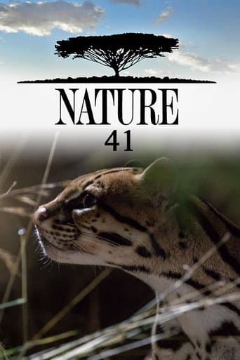 Temporada 41