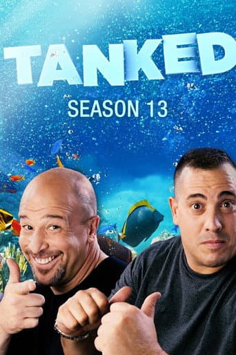 Staffel 13