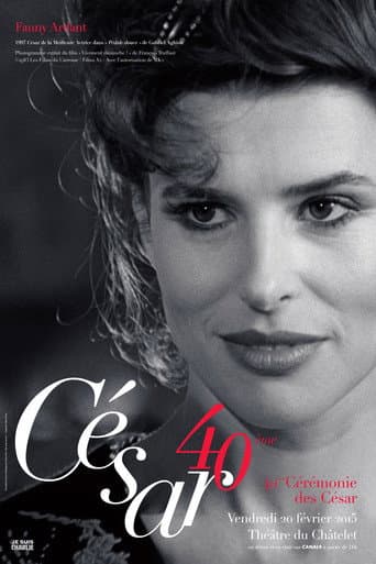 Staffel 40