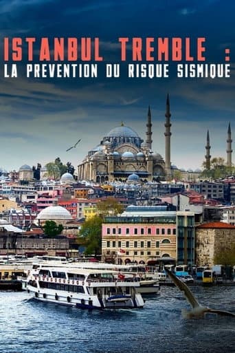Istanbul bebt: Risiko und Frühwarnung