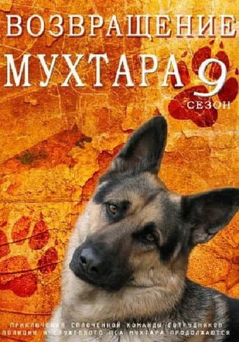 Staffel 9
