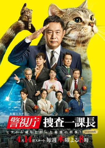 Staffel 6