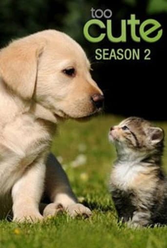 Staffel 2