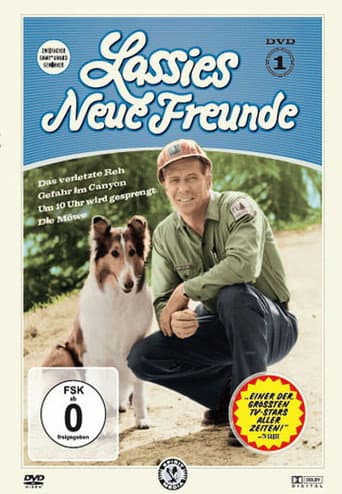 Staffel 12
