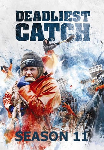Staffel 11