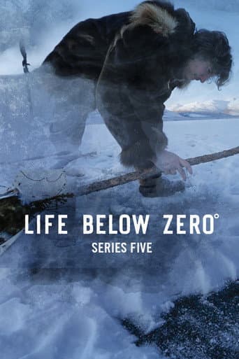 Staffel 5