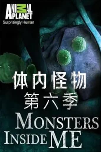 Staffel 6