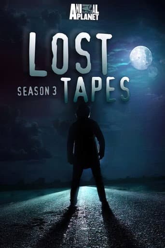 Staffel 3