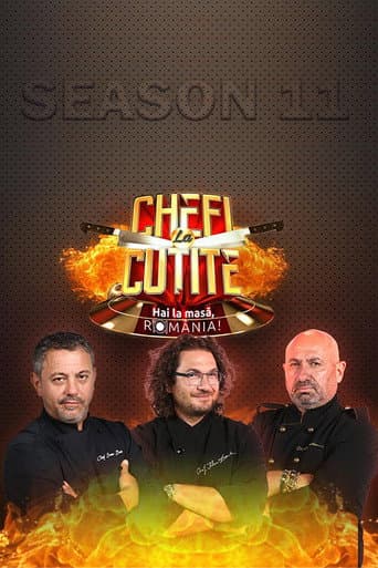 Staffel 11