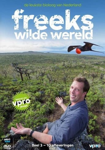 Staffel 3