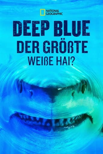 Der größte Weiße Hai? – Expedition Hawaii
