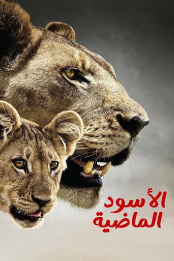 الأسود الماضية