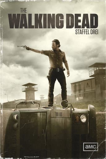 Staffel 3