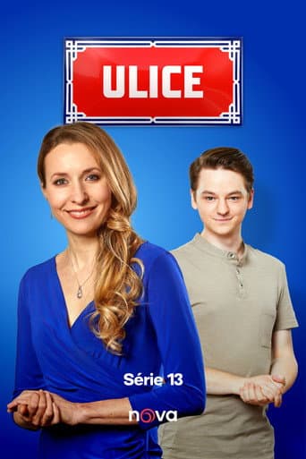 Staffel 13
