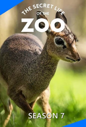 الموسم 7