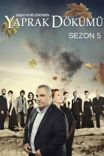 Staffel 5