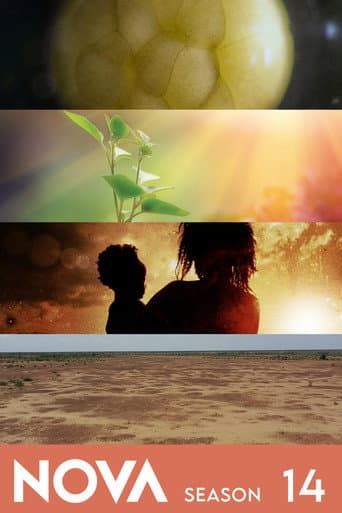 Staffel 14