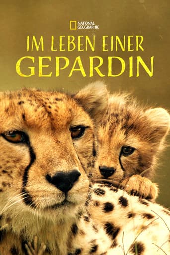 The Way of the Cheetah