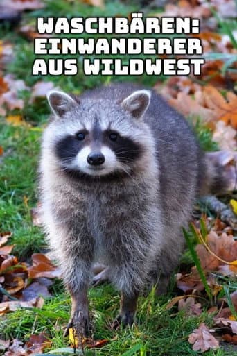 Waschbären – Einwanderer aus Wildwest