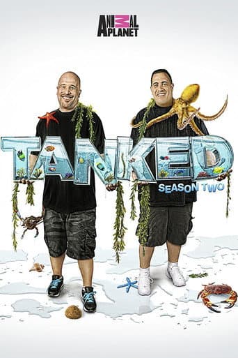 Staffel 2